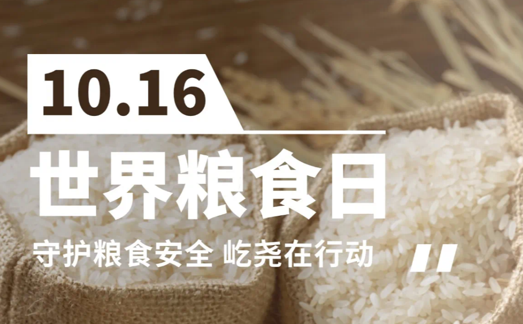 企業(yè)微信截圖_17294273532410.png